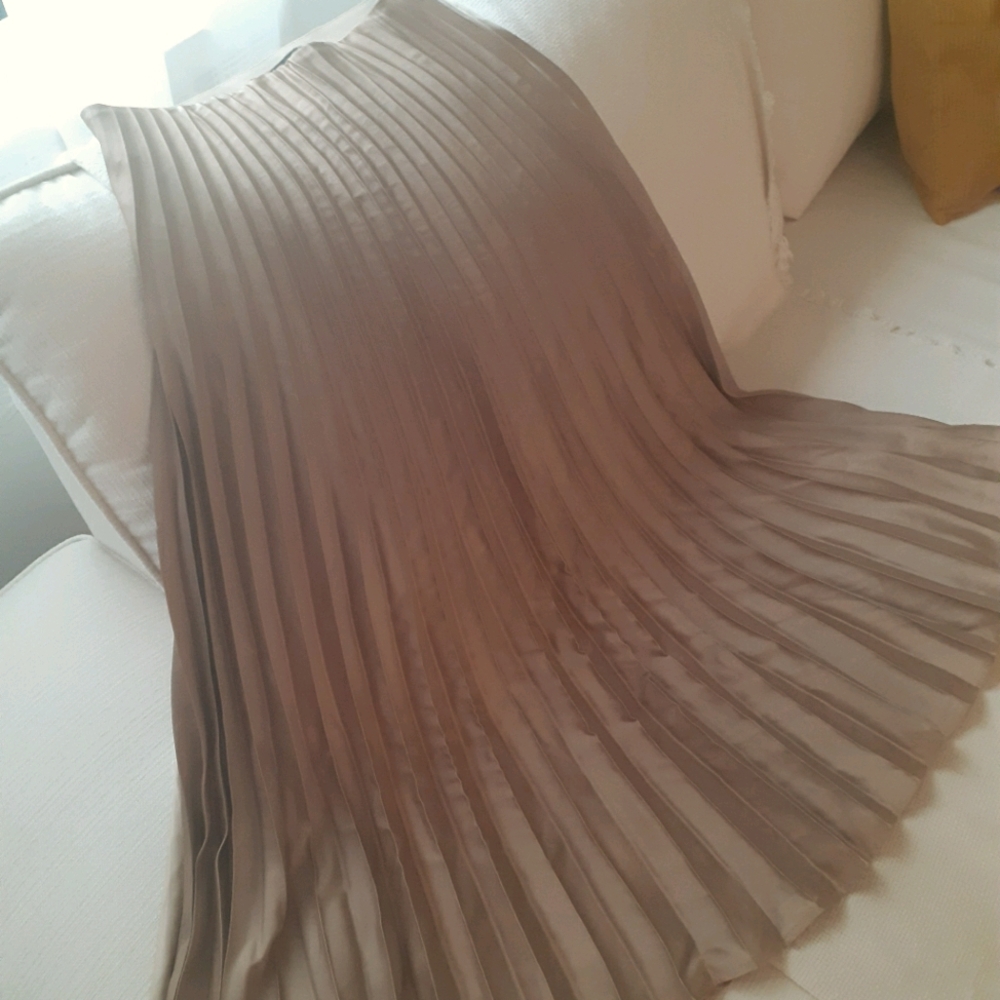 Zara  skirt